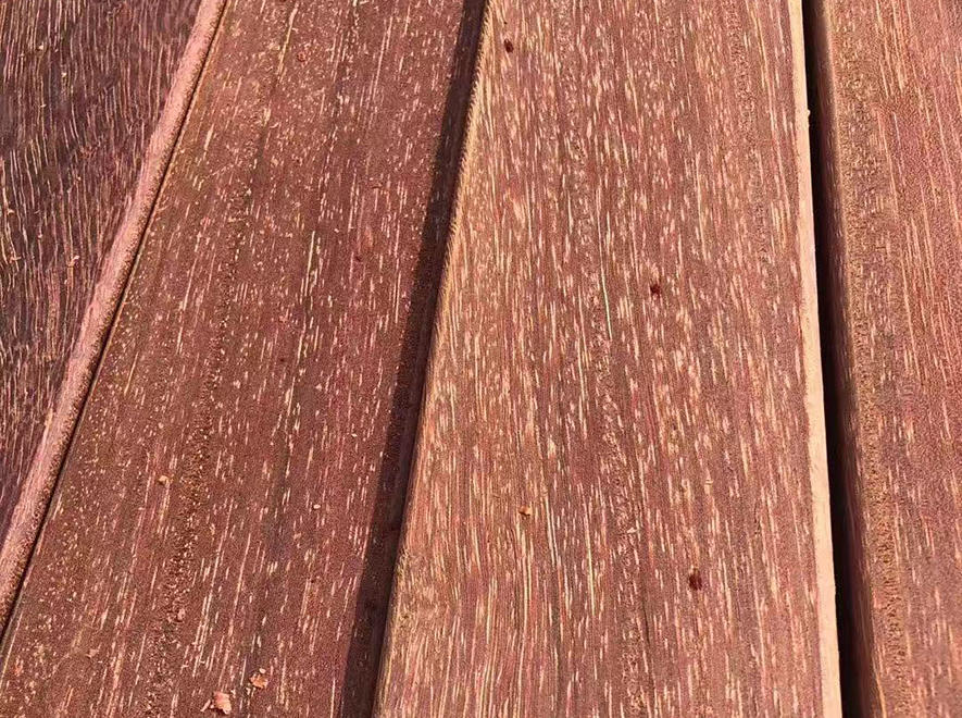 翼红铁木