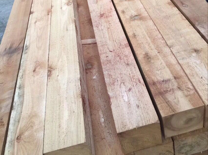 吉安Red cedar